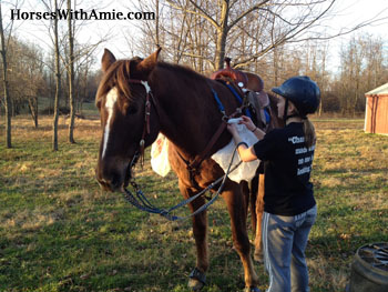 My horse clearance scooter